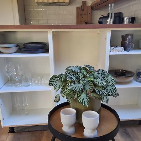 Bij Parels Landelijk Overnachten In Het Velserbroek