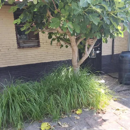 Bij Parels Landelijk Overnachten In Het * Velserbroek