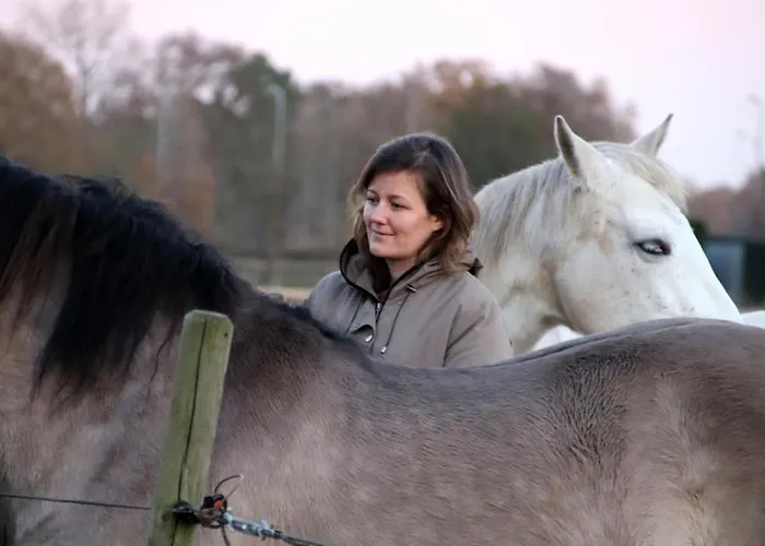 Bij Parels Landelijk Overnachten In Het * Velserbroek